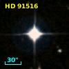 HD  91516