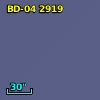 BD-04  2919