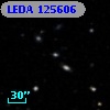 LEDA  125606