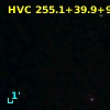 HVC 255.1+39.9+96
