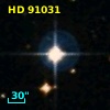 HD  91031