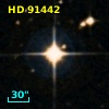 HD  91442