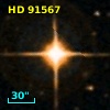 HD  91567