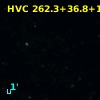 HVC 262.3+36.8+128
