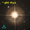 * phi Hya