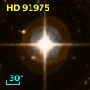 HD  91975