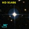 HD  91486