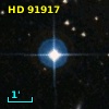 HD  91917