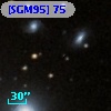 [SGM95]  75