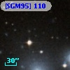 [SGM95] 110
