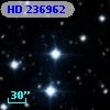 HD 236962