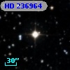 HD 236964