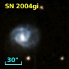 SN 2004gi