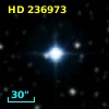 HD 236973