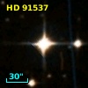 HD  91537