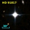 HD  91817