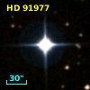 HD  91977