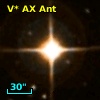 V* AX Ant