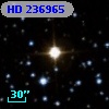 HD 236965