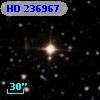 HD 236967