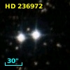 HD 236972