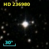 HD 236980