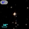 V* WX Ant