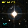 HD  91175