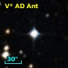 V* AD Ant