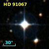 HD  91067
