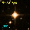 V* AY Ant