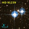 HD  91239