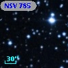 NSV   785