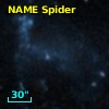NAME SPIDER