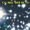 Cl* NGC  869      W      73