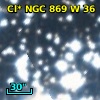 Cl* NGC  869      W      36
