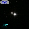 TYC 1431-1312-1