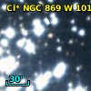 Cl* NGC  869      W     101