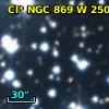 Cl* NGC  869      W     250