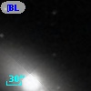 [BL2002] N3384-FF-5