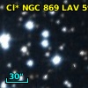 Cl* NGC  869    LAV     591