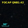 FOCAP QNB1:42