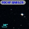 FOCAP QNB1:29