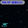 FOCAP QNB1:11