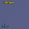 *  36 Sex