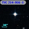 TYC  254-956-1