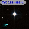 TYC  255-480-1