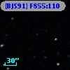 [BJS91] F855:110