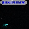 [BJS91] F855:176