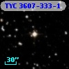 TYC 3607-333-1